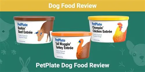 PetPlate ძაღლის საკვების მიმოხილვა 2023: იხსენებს, დადებითი & უარყოფითი მხარეები