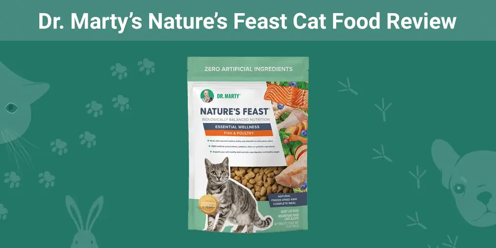 סקירת מזון לחתולים של ד" ר Marty's Nature's Feast 2023 - חוות דעתו של המומחה שלנו