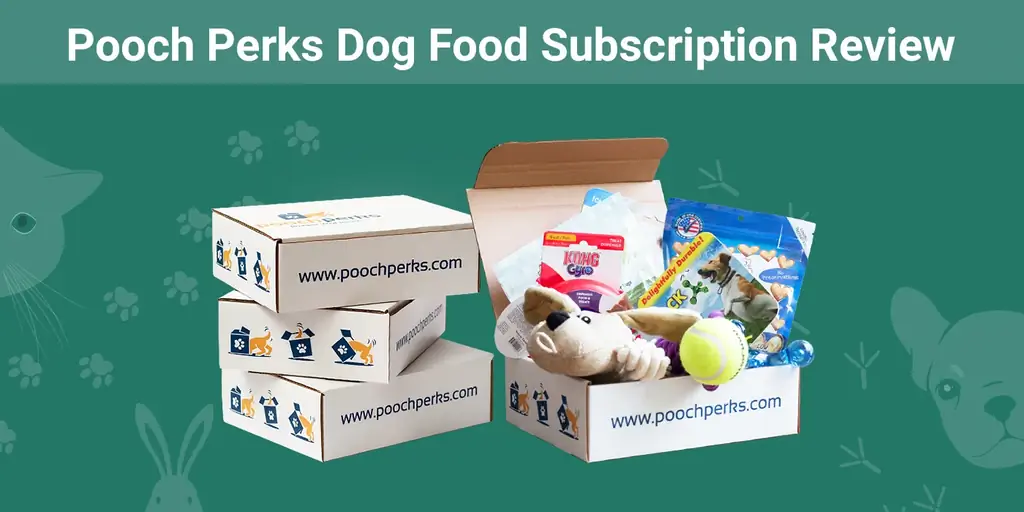Bewertung des Abonnements für Hundefutter von Pooch Perks 2023 – Die Meinung unseres Experten