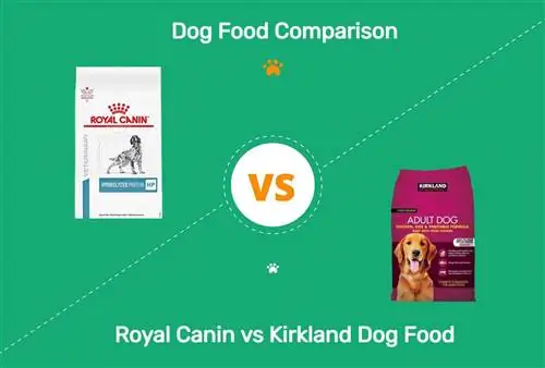 Royal Canin vs Kirkland Dog Food: ჩვენი 2023 შედარება: დადებითი & უარყოფითი მხარეები