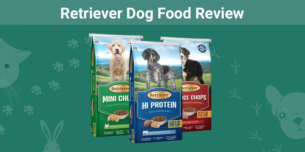 Retriever Dog Food Review 2023: Plussat, miinukset ja muistutukset