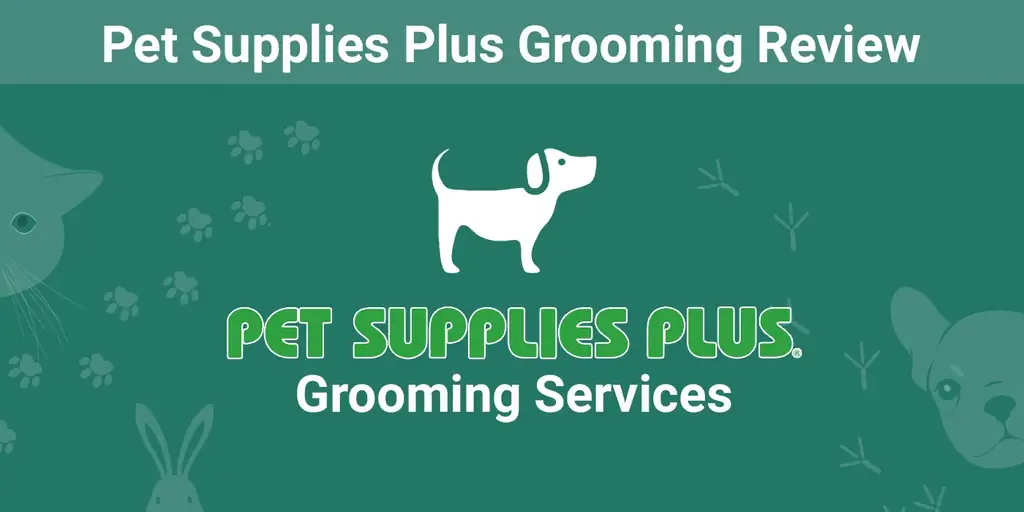 Pet Supplies Plus Grooming Review 2023: Szolgáltatások, árak, felhasználói értékelések és GYIK