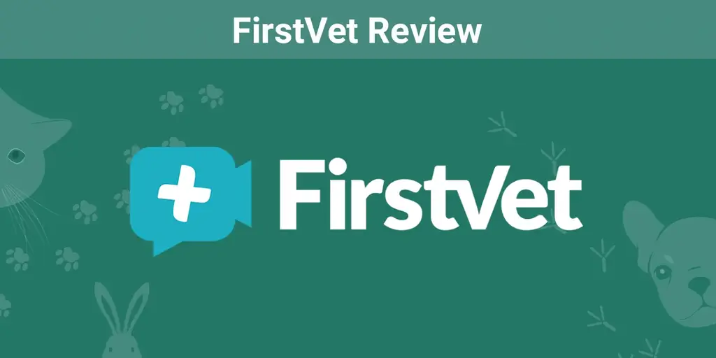 FirstVet тойм 2023: FirstVet сайн үнэ цэнэ мөн үү?