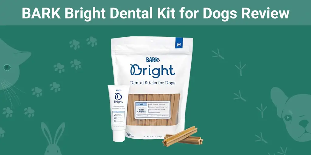 BARK Bright dantų rinkinys šunims apžvalga 2023 m.: mūsų eksperto nuomonė