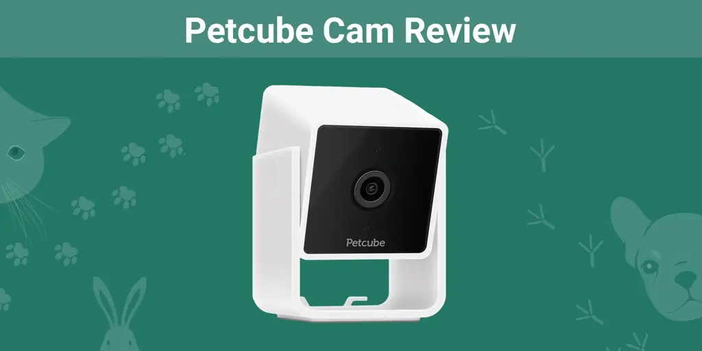Petcube Cam Review 2023. Արժեք, առանձնահատկություններ, առավելություններ & Դեմ