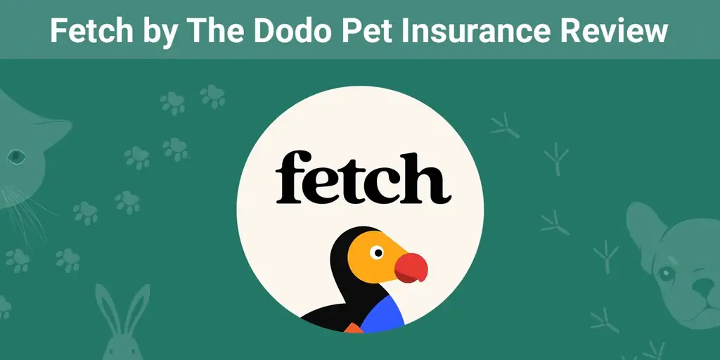Fetch by The Dodo Pet Insurance Review 2023: precios, cobertura & Preguntas frecuentes
