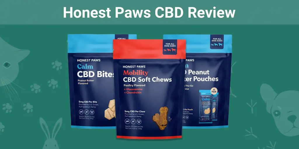 Ազնիվ թաթեր CBD Pet Products Review 2023. Մեր փորձագետի կարծիքը