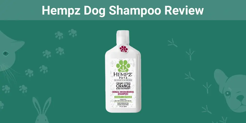 Hempz Dog Shampoo Review 2023: Prednosti in slabosti & Končna razsodba