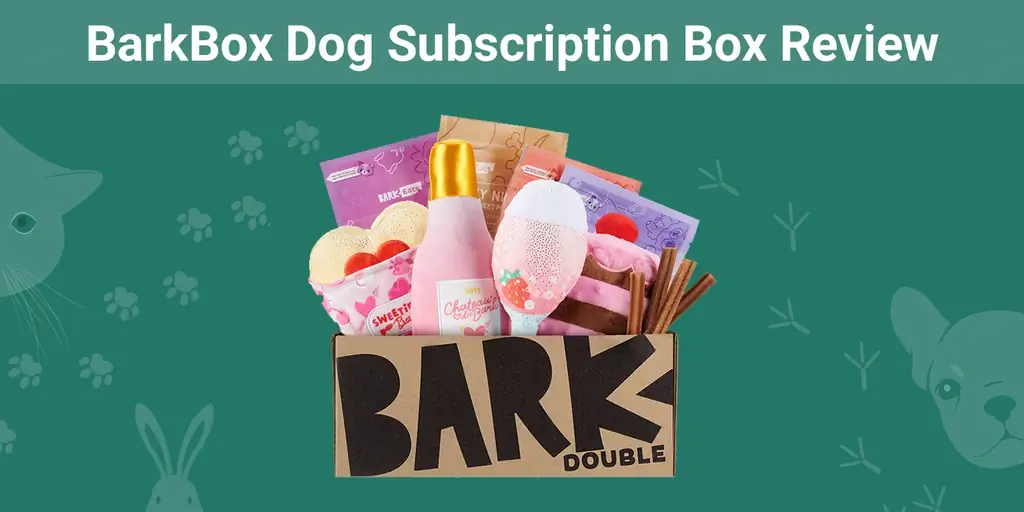 BarkBox Dog Subscription Box apskats 2023: mūsu eksperta viedoklis