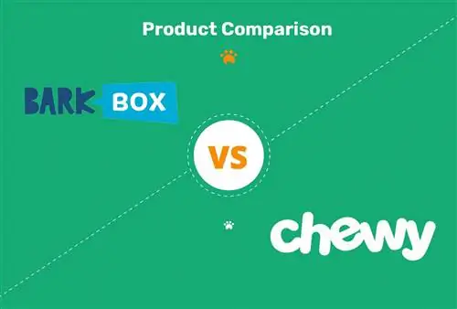 BarkBox vs Chewy Dog የደንበኝነት ምዝገባ ሳጥን፡ ሙሉ ንጽጽር 2023 ዝማኔ
