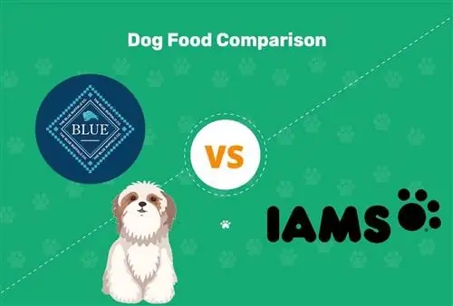 אימס מזון לכלבים לעומת באפלו כחול: השוואה של 2023, יתרונות & חסרונות