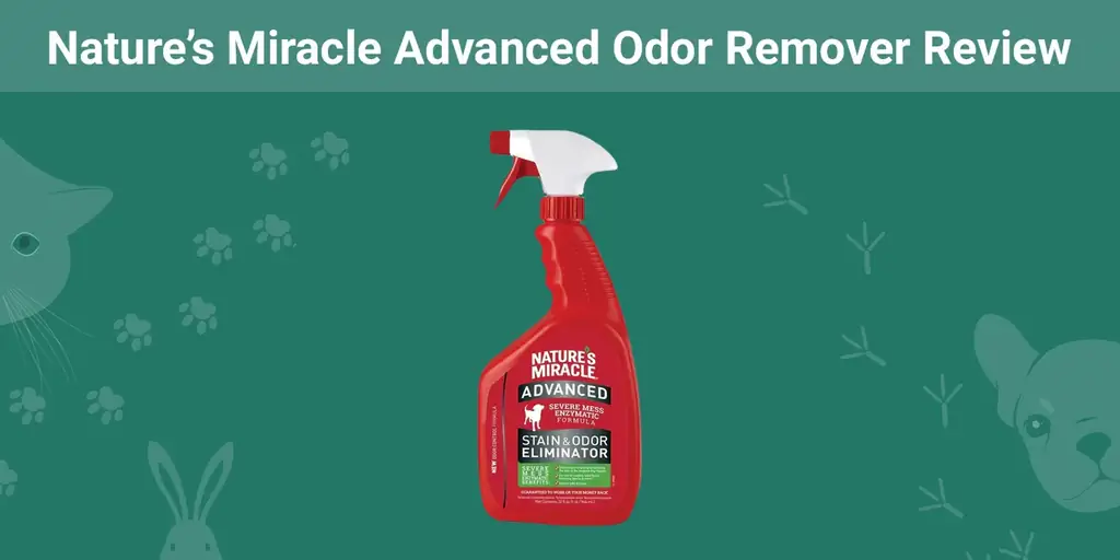 Nature's Miracle Advanced Odor Remover Review 2023 Hloov tshiab