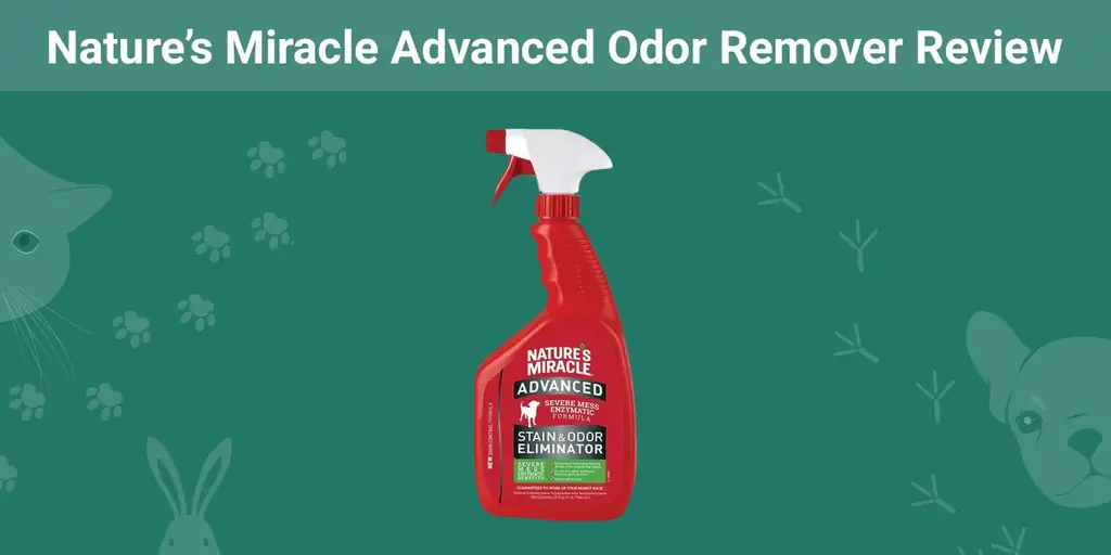 Nature’s Miracle Advanced Odor Remover Review 2023 -päivitys