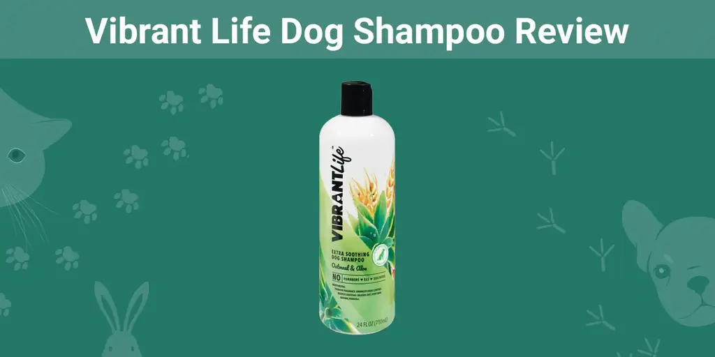 Vibrant Life Dog Shampoo Review 2023: ข้อดีข้อเสีย & คำตัดสิน