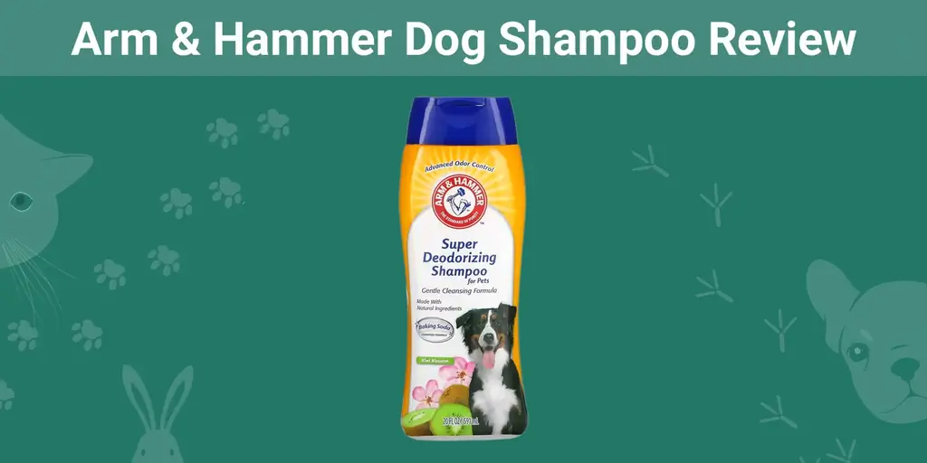 Arm & Hammer Dog Shampoo Revisão 2023: prós, contras & Veredicto