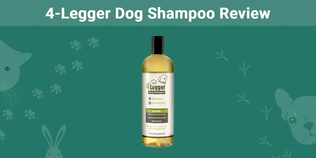 Examen du shampooing pour chiens à 4 pattes 2023 : notre verdict final