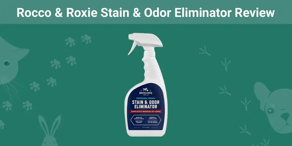 Rocco & Roxie Tsiaj Stain & Odor Eliminator Review 2023: Peb Qhov Kev Txiav Txim Kawg