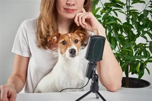 10 migliori podcast per animali domestici nel 2023: recensioni & Scelte migliori