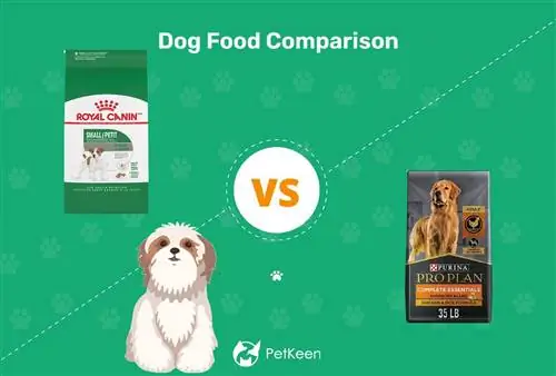 Nourriture pour chiens Royal Canin vs Purina Pro Plan : comparaison 2023, avantages & inconvénients