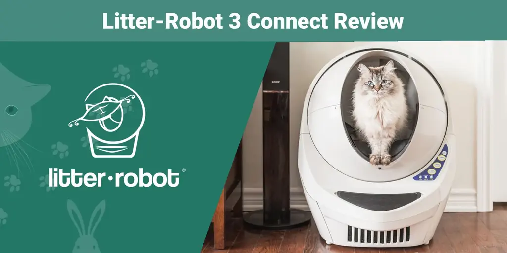 Litter-Robot 3 Connect шолу 2023: Артықшылықтары мен кемшіліктері & Сарапшының пікірі