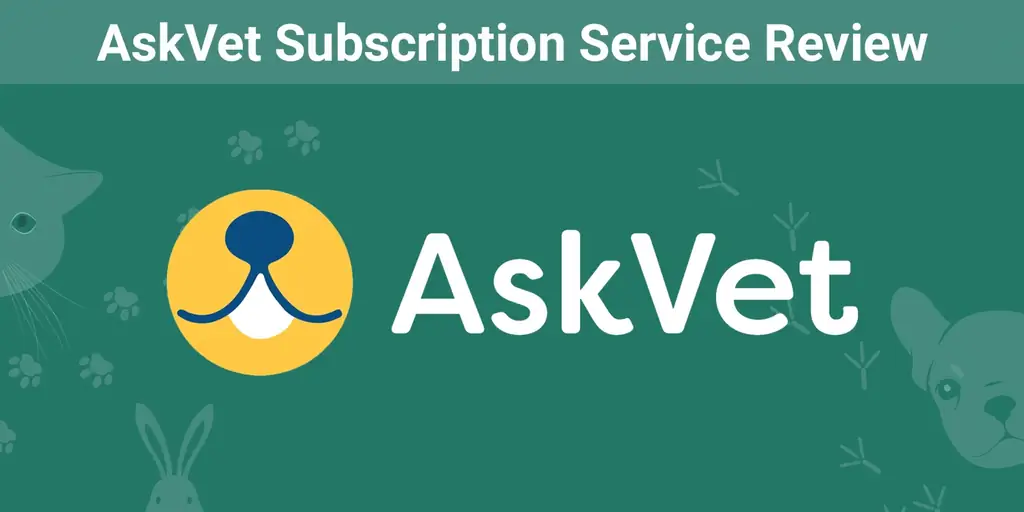 Revisió del servei de subscripció AskVet 2023: l'opinió del nostre expert sobre el seu valor