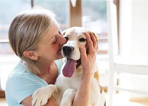 16 meilleures races de chiens pour les personnes âgées & les personnes âgées (avec photos)