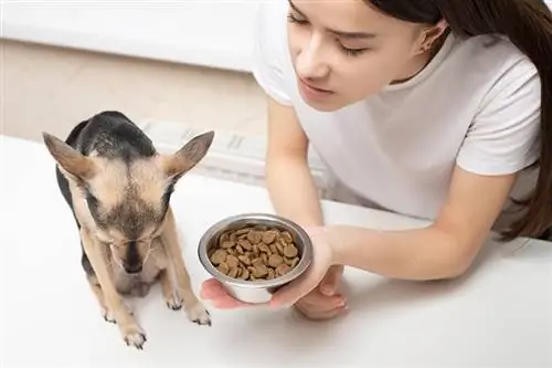 Πώς να καταλάβετε εάν η ξηρή τροφή για σκύλους έχει γίνει κακή; Signs & 9 Συμβουλές για να το διατηρήσετε φρέσκο