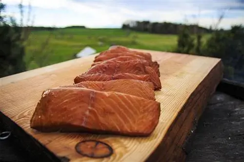 Apakah Makanan Salmon dalam Makanan Anjing? Fakta Diluluskan Doktor & Soalan Lazim