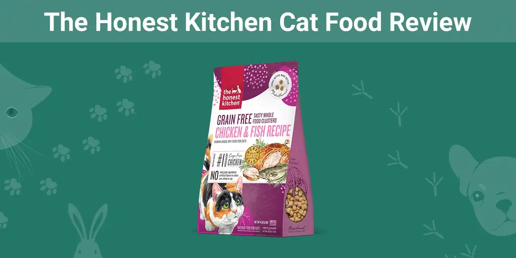 The Honest Kitchen Cat Food Review 2023: ข้อดี ข้อเสีย & ความคิดเห็นของผู้เชี่ยวชาญ