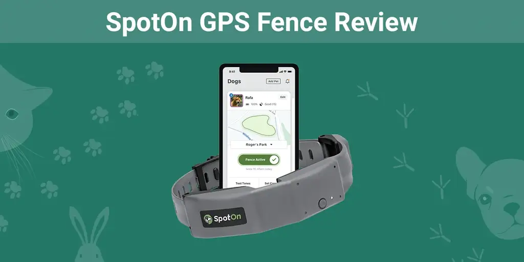 SpotOn GPS Fence Review 2023: Asiantuntijamme lausunto