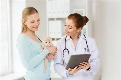 Est-ce que tous les vétérinaires prennent une assurance pour animaux de compagnie ? Guide 2023 & FAQ