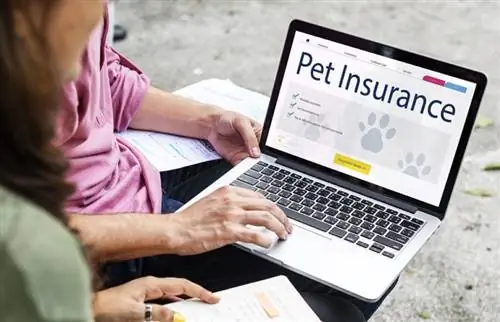 ¿Es deducible de impuestos el seguro de mascotas? Guía 2023