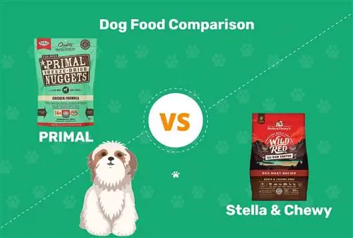 פרימל נגד סטלה & מזון לכלבים לעיס: ההשוואה שלנו לשנת 2023