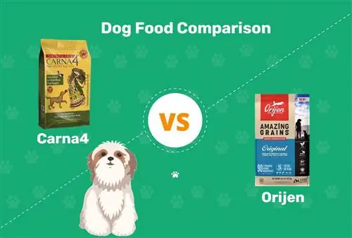 مقارنة بين Carna4 و Orijen Dog Food 2023 ، إيجابيات & سلبيات