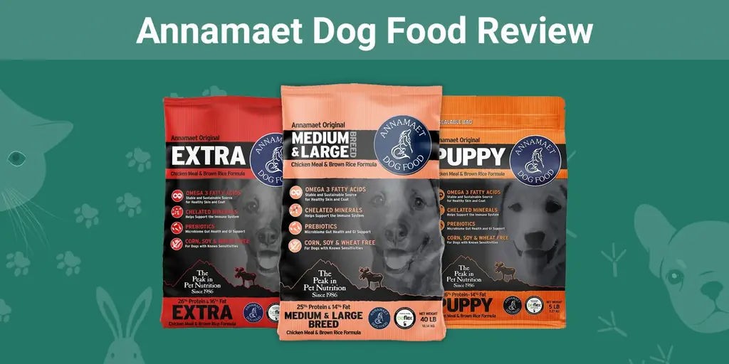Annamaet Dog Food Review 2023: prós, contras & Veredicto final