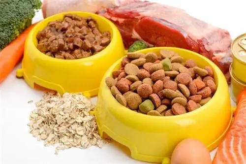 Come leggere le etichette degli alimenti per animali domestici & Liste degli ingredienti (con calcolatore di calorie)