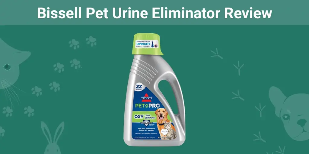 Преглед на Bissell Pet Urine Eliminator Review 2023: Плюсове, минуси & Окончателна присъда