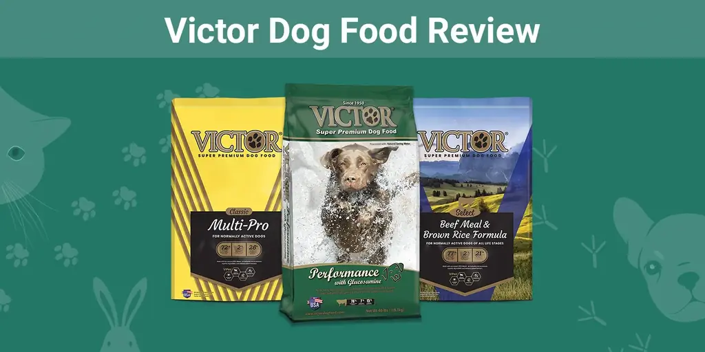 Victor Dog Food Review 2023: prós, contras, recalls & Perguntas frequentes