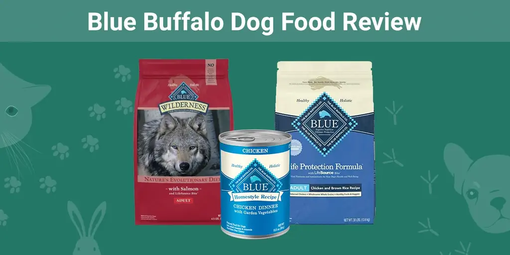 Blue Buffalo Dog Food Review 2023: Πλεονεκτήματα, Μειονεκτήματα & Verdict