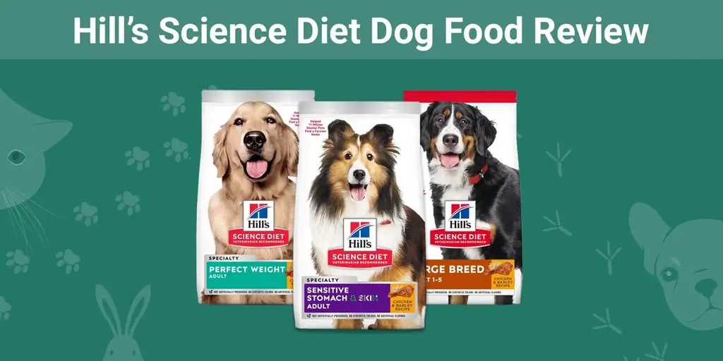 Hill’s Science dietos šunų maisto apžvalga 2023 m.: privalumai, trūkumai, prisiminimai & DUK