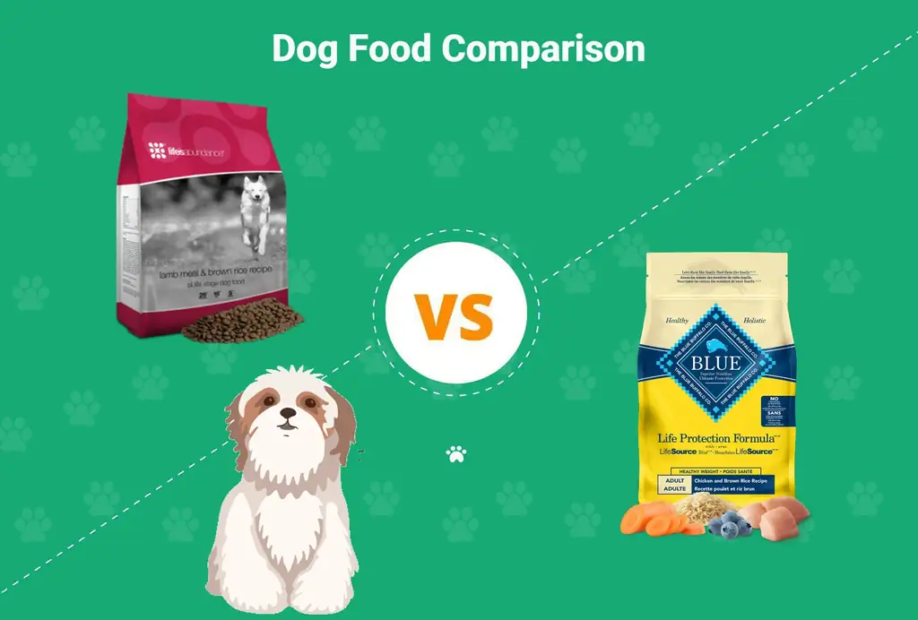 Alimento para perros Life's Abundance vs. Blue Buffalo 2023: pros, contras & Qué elegir