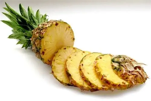 Ehetnek ananászt a hörcsögök? Kockázatok & Lehetséges egészségügyi előnyök