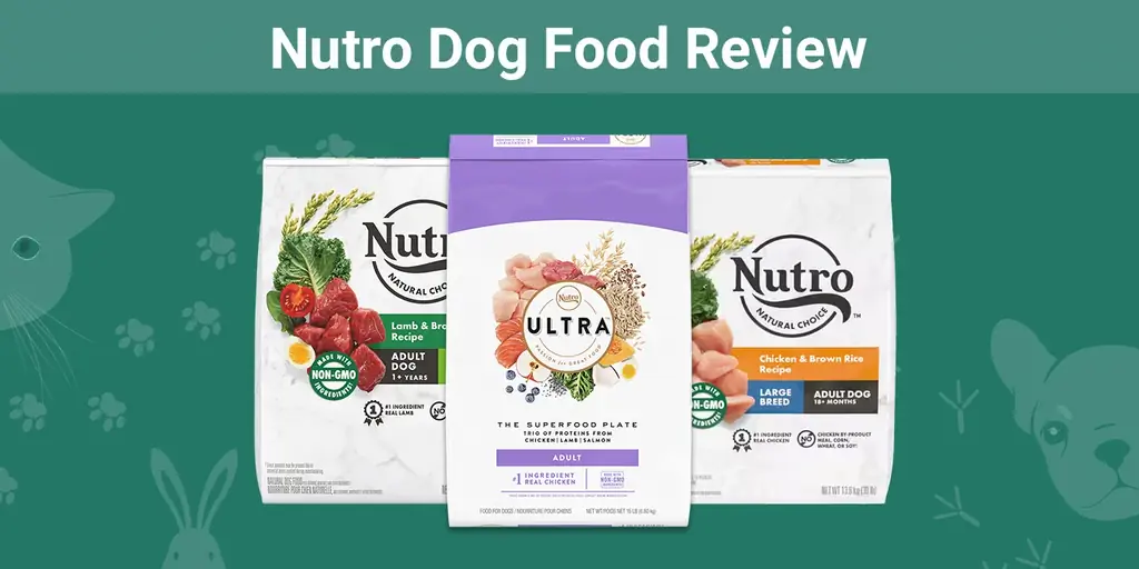 Nutro Dog Food Review 2023: voors, tegens & Mening van de expert