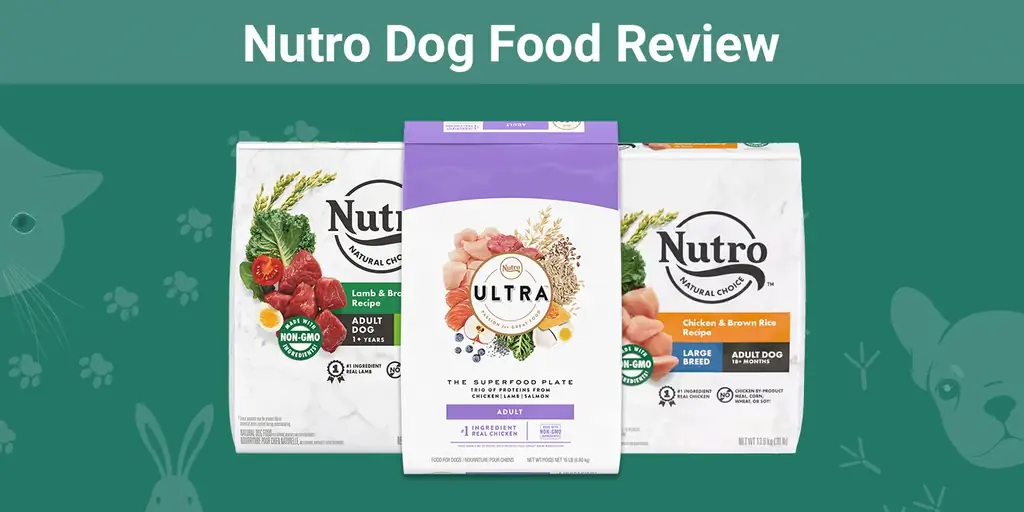 Nutro Dog Food Review 2023: Klady, zápory & Názor odborníka