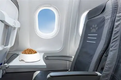 Puteți aduce mâncare pentru câini într-un avion? Întrebări frecvente actualizate 2023 &