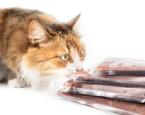 5 καλύτερες υπηρεσίες παράδοσης φρέσκων τροφών για γάτες στην Αυστραλία το 2023 – Κριτικές & Κορυφαίες επιλογές