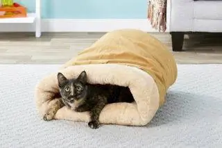 10 geriausių šildomų kačių lovų 2023 m. – Atsiliepimai & Populiariausi pasirinkimai