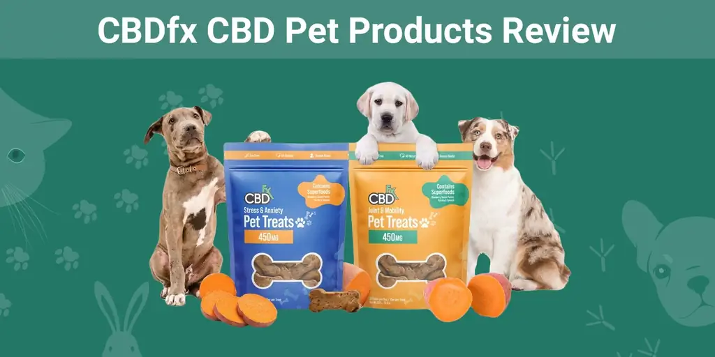 CBDfx CBD Pet Products Review 2023: Asiantuntijamme lausunto