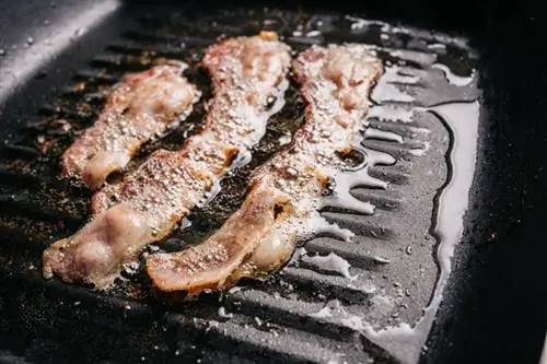 Bolehkah Anda Meletakkan Minyak Bacon pada Makanan Anjing? Fakta Diluluskan Doktor & Soalan Lazim