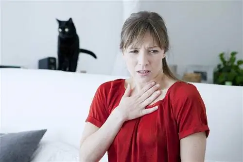 Ar galiu turėti katę, jei sergu astma? Saugos veterinarijos patvirtinti faktai